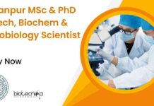IIT Kanpur PhD Biotech