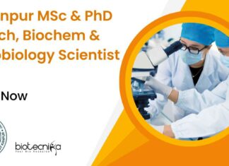 IIT Kanpur PhD Biotech