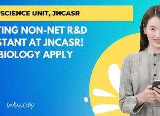 JNCASR Non-NET R&D Assistant Job