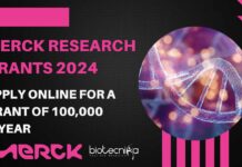 Merck Research Grants 2024