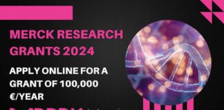 Merck Research Grants 2024