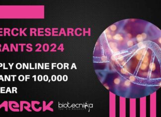 Merck Research Grants 2024