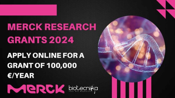 Merck Research Grants 2024