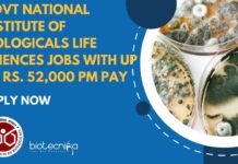 Govt National Institute of Biologicals Life Sciences Jobs With up To Rs. 52,000 pm Pay – Apply Now Govt Life Sciences Jobs at NIB - Applications Invited