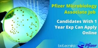 Pfizer Microbiology Associate Vacancy
