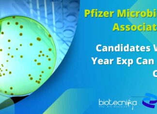 Pfizer Microbiology Associate Vacancy