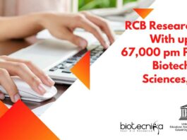 RCB Research Jobs