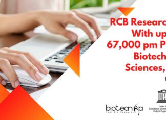 RCB Research Jobs