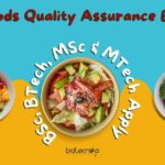 Rebel Foods QA Executive Job