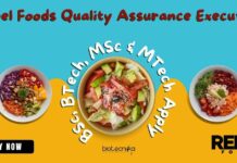 Rebel Foods QA Executive Job