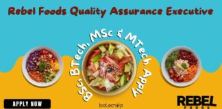 Rebel Foods QA Executive Job