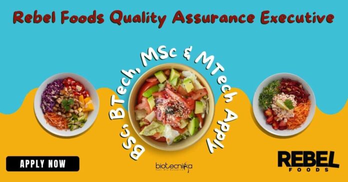 Rebel Foods QA Executive Job