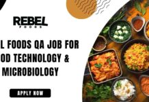 Rebel Foods QA Job