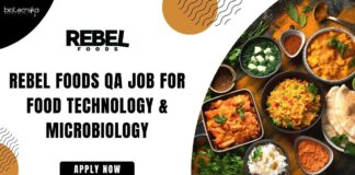 Rebel Foods QA Job