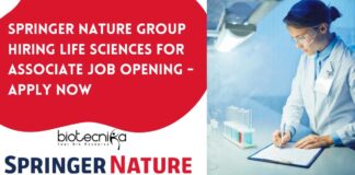 Springer Nature Group Hiring