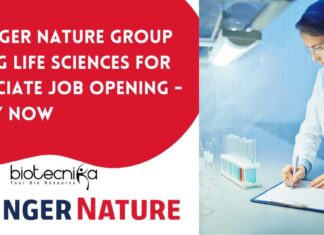 Springer Nature Group Hiring