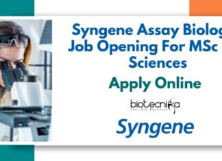 Syngene Assay Biologist Job Opening