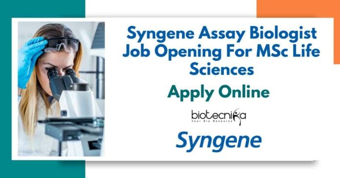 Syngene Assay Biologist Job Opening