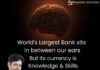 Biotecnika Times Newsletter 03.06.2024 Govt BARC BSc Jobs, CNCI High Pay of Rs. 71,000 pm Jobs, NIAB Hiring, Biocon Biologics QC Molecular Biology, Bioinformatics Scientist & Trainer Post Vacancy – WFH Job, CSIR NET JOSH Batch Admissions Open + Much More Govt BARC BSc Biological Sciences Scientific Assistant Job Openings - Attend Walk-In Attend the walk-in for Scientific Assistant positions at BARC. Chittaranjan National Cancer Institute Non-Medical Project Job With Rs. 71,000 pm Pay - Apply Now Apply now for a Non-Medical Project job at CNCI with a pay of Rs 71,000 PM. NIAB Life Sciences Young Professional Recruitment - Apply Online Apply online for Young Professional positions at NIAB. Biocon Biologics QC Molecular Biology Executive Job - Apply Now! Exciting opportunity to join Biocon Biologics as a QC Molecular Biology Executive. Apply now! CSIR NET JOSH Batch - Exclusive Coaching For Dec 2024 & June 2025 Life Science Exam Join the Josh Batch 2024 program. Check out the details and apply! Exclusive Bioinformatics Scientist & Trainer Post Vacancy - WFH Job - Apply Online Apply for an online work-from-home Bioinformatics Scientist Trainer position. Learn Clinical Research Online - Get Advanced Training in Clinical Research & Management - Admissions Open Explore the Clini India 2024 program. Learn more and apply now! TCS Life Sciences Study Delivery Specialists Job Openings - Apply Now Apply for the Study Delivery Specialists positions in Life Sciences at TCS. CSIR-CFTRI Project Vacancy CSIR-CFTRI is hiring for Project positions in Life Sciences, Biotech, and Biochem. Apply online! AIIMS New Delhi MSc Life Science Research Fellow Recruitment Applications are invited for Research Fellow positions in Life Sciences at AIIMS New Delhi. Biocon Biologics QC Bioassay Job Apply now for a QC Bioassay position in Biotechnology at Biocon Biologics. Trainee Scientific Writer Opportunity at Sanofi Join Sanofi as a Trainee Scientific Writer. Apply now! IIT Kanpur PhD Biotech/ Biochem/ Microbiology Scientist Job Apply for Scientist positions in Biotech, Biochem, and Microbiology at IIT Kanpur. SASTRA University Biotech/Microbiology JRF Job Opening Exciting JRF job opening at SASTRA University in Biotech and Microbiology. Apply now!