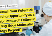 Presidency University Job Opening