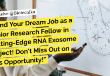 IIT Kanpur Research Fellow Job