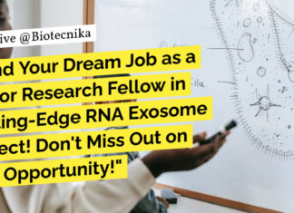 IIT Kanpur Research Fellow Job