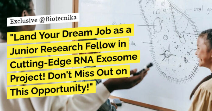 IIT Kanpur Research Fellow Job