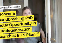 PhD Scholar Opportunity