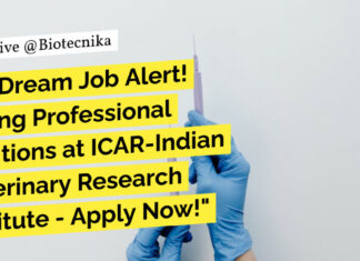 ICAR-IVRI Young Professional Job Opportunity