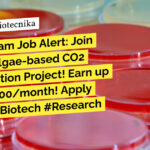 CSIR-CSMCRI Biotech, Microbiology Project Associate Recruitment - Applications Invited