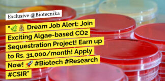 CSIR-CSMCRI Biotech, Microbiology Project Associate Recruitment - Applications Invited