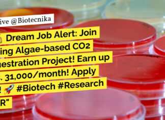 CSIR-CSMCRI Biotech, Microbiology Project Associate Recruitment - Applications Invited