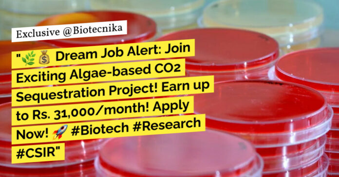 CSIR-CSMCRI Biotech, Microbiology Project Associate Recruitment - Applications Invited