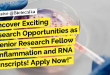 AIIMS Delhi Research Recruitment For Biotech & Biochem, Apply Now