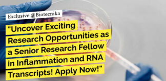 AIIMS Delhi Research Recruitment For Biotech & Biochem, Apply Now
