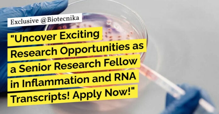 AIIMS Delhi Research Recruitment For Biotech & Biochem, Apply Now