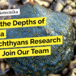 ZSI Zoology Project Recruitment - Applications Invited