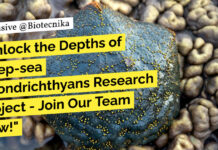 ZSI Zoology Project Recruitment - Applications Invited