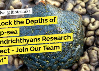 Zoological Survey of India Life Science Project Recruitment – Applications Invited ZSI Zoology Project Recruitment - Applications Invited