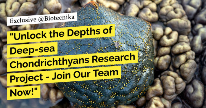 ZSI Zoology Project Recruitment - Applications Invited
