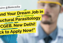 ICGEB Bioinformatics Research Job Opening - Apply Now