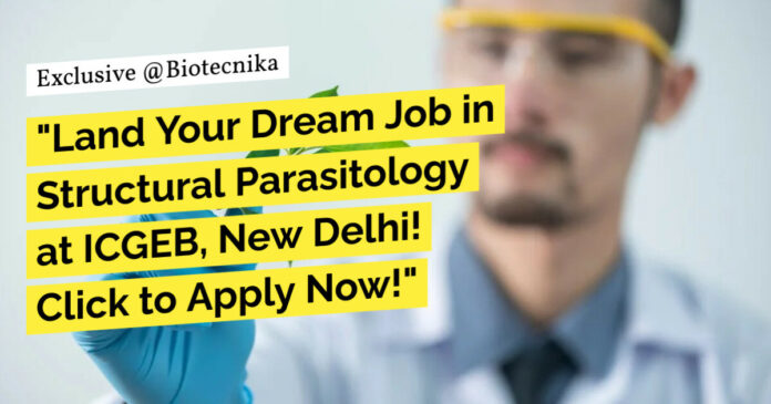 ICGEB Bioinformatics Research Job Opening - Apply Now