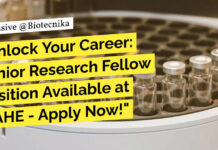 Manipal Research Fellow Recruitment - Applications Invited
