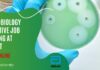 Microbiology Executive Job Opening at Abbott – Apply Online Now Microbiology Executive Job Opening