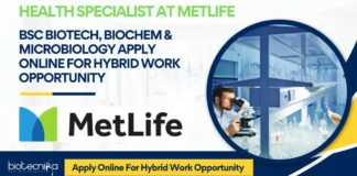 MetLife Jobs
