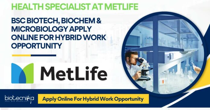MetLife Jobs