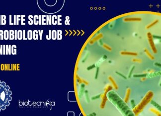 CSIR-CCMB Microbiology Job Opening
