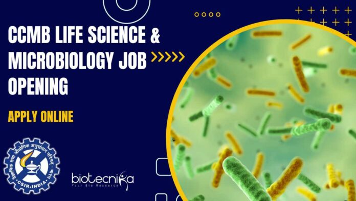 CSIR-CCMB Microbiology Job Opening