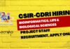 CSIR-CDRI Bioinformatics, Life & Biological Sciences Project Staff Recruitment – Apply Online CSIR-CDRI Bioinformatics Project Job