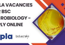 Cipla Vacancies For BSc Microbiology